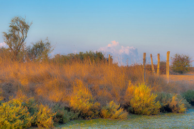 Photographie :gestion de la couleur avec Didier Raynaud à l'UTLMO