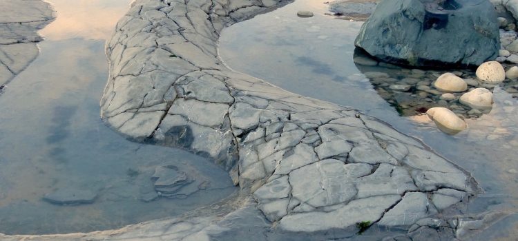 A la découverte des dinosaures de Chassiron samedi 24 juin 2017