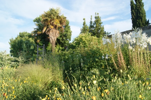 écologie végétale